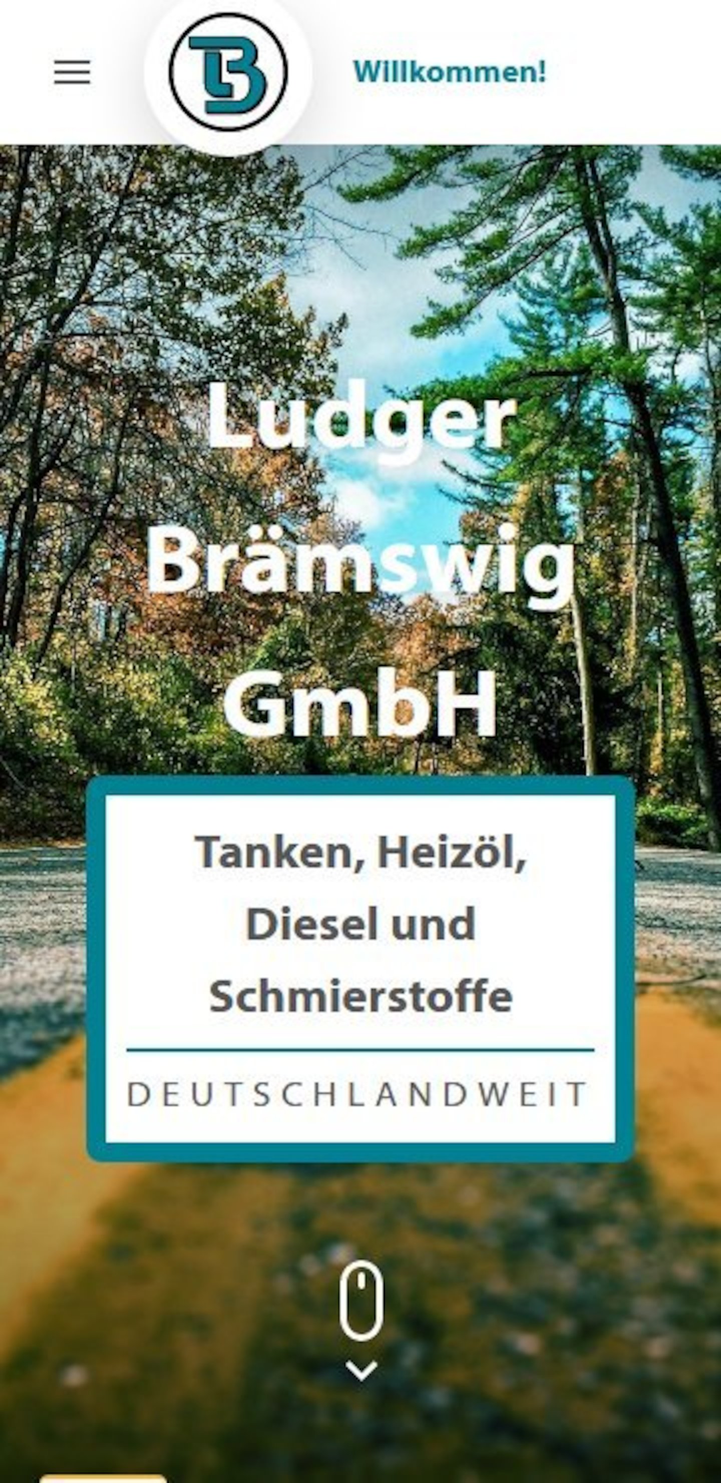 Smartphone Screenshot der Website von: Ludger Brämswig GmbH