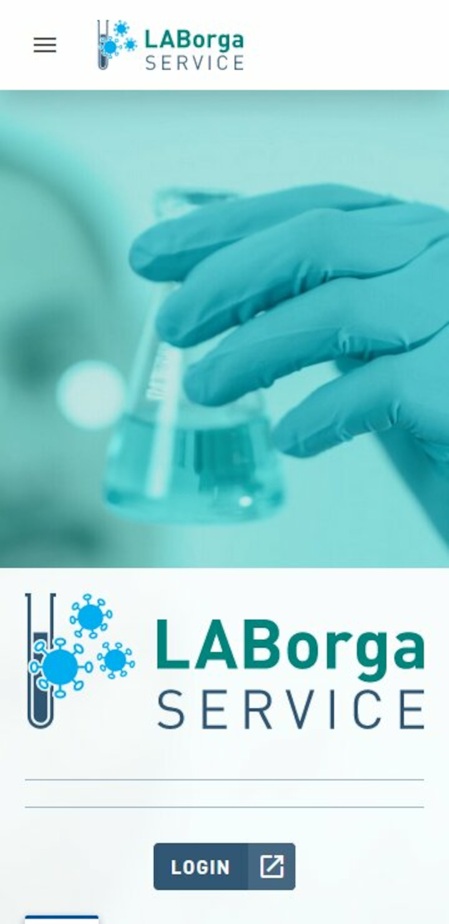 Smartphone Screenshot der Website von: LABorga GmbH