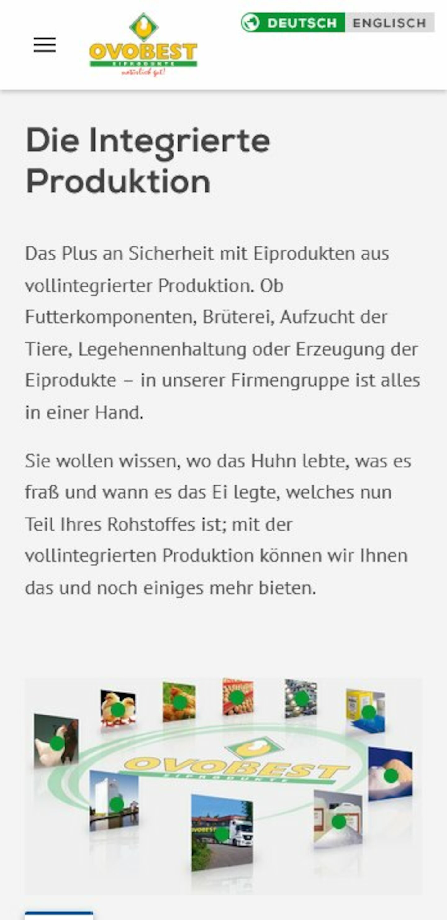 Smartphone Screenshot der Website von: OVOBEST