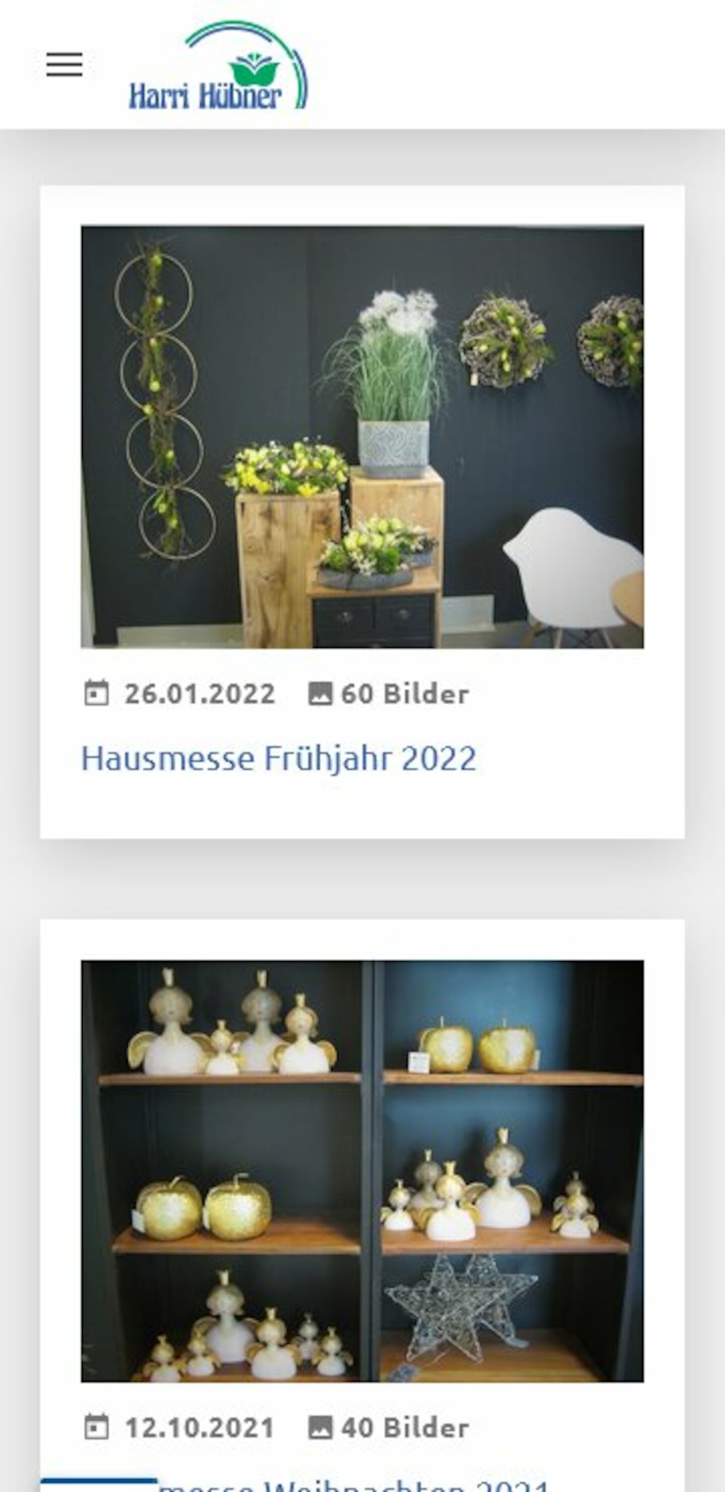 Smartphone Screenshot der Website von: Harri Hübner GmbH