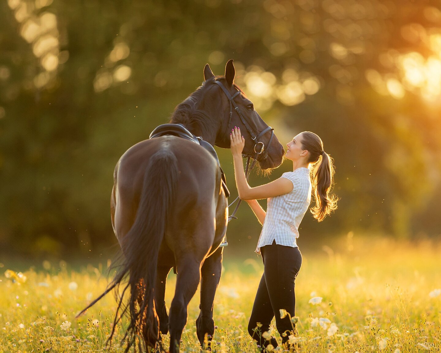 Stimmungsvoller, unscharfer Hintergrund