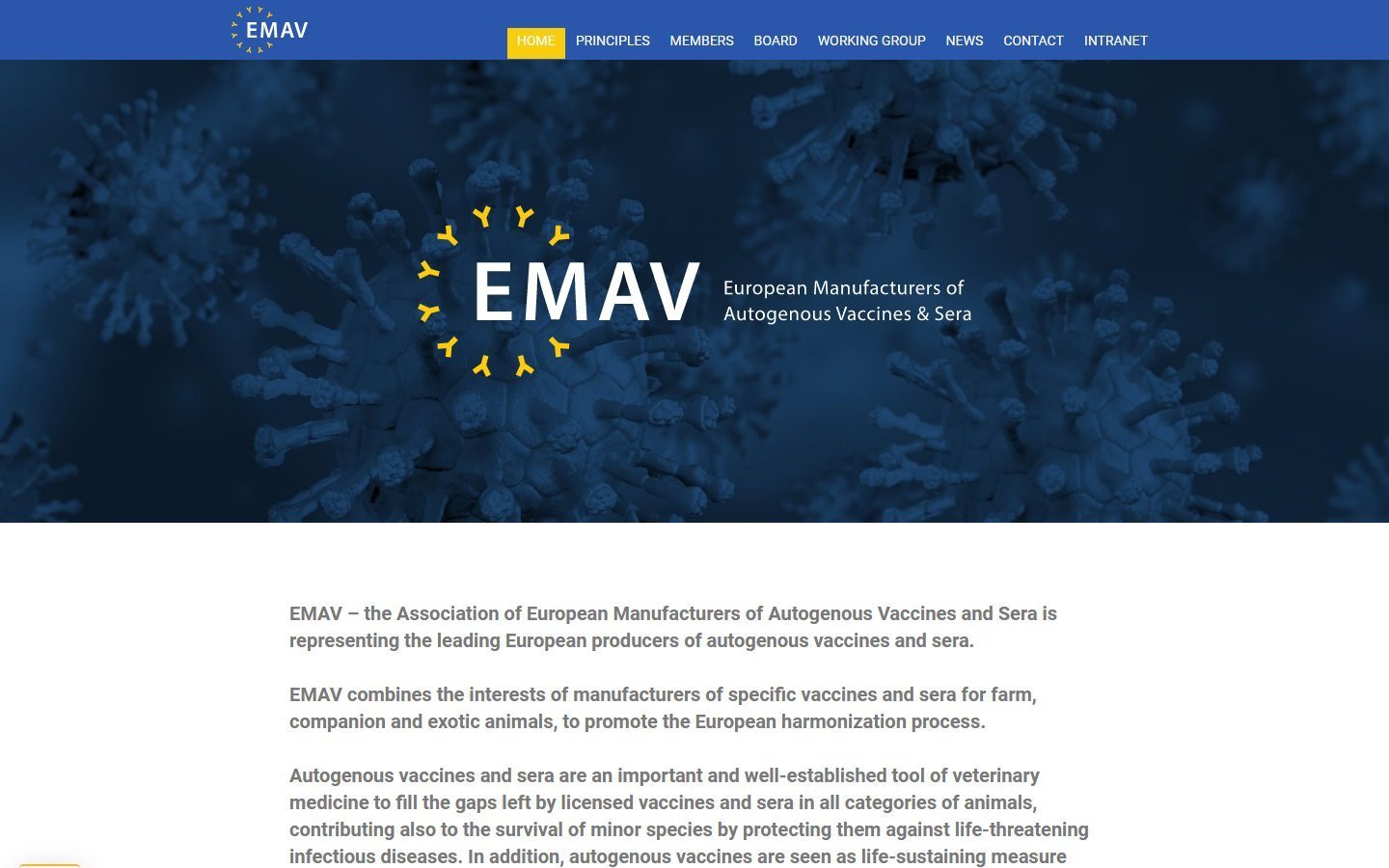 Desktop Screenshot der Website von: EMAV e.V.